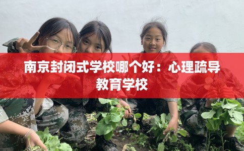南京封闭式学校哪个好：心理疏导教育学校