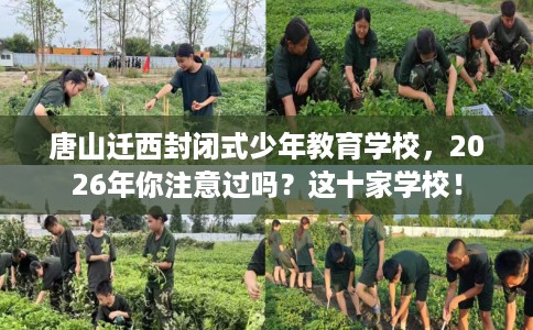 唐山迁西封闭式少年教育学校，2026年你注意过吗？这十家学校！