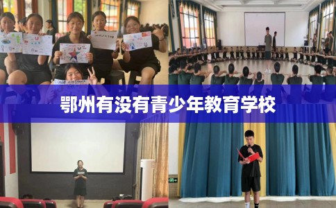 鄂州有没有青少年教育学校