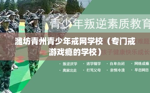 潍坊青州青少年戒网学校（专门戒游戏瘾的学校）