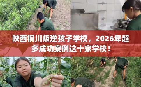 陕西铜川叛逆孩子学校，2026年超多成功案例这十家学校！
