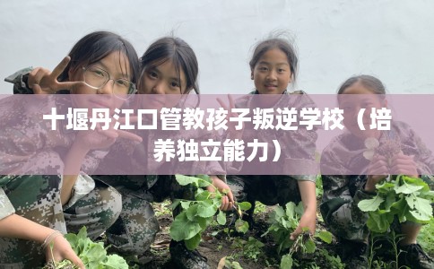 十堰丹江口管教孩子叛逆学校（培养独立能力）