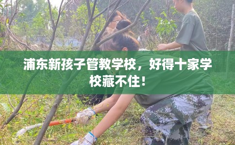 浦东新孩子管教学校，好得十家学校藏不住！