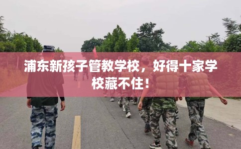 浦东新孩子管教学校，好得十家学校藏不住！