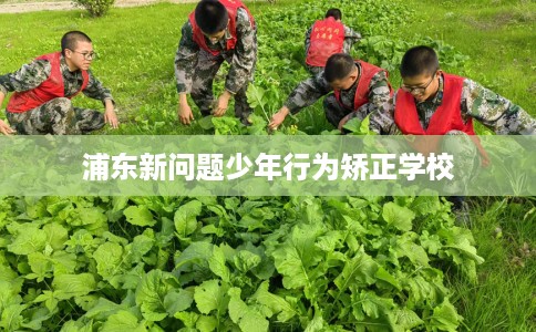 浦东新问题少年行为矫正学校