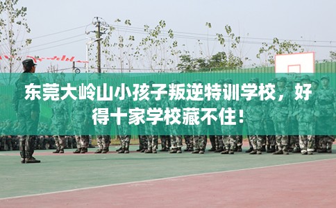 东莞大岭山小孩子叛逆特训学校，好得十家学校藏不住！
