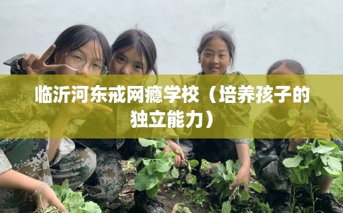 临沂河东戒网瘾学校（培养孩子的独立能力）