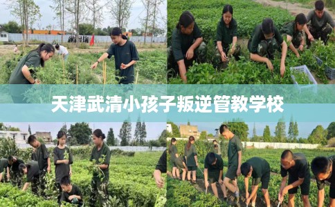 天津武清小孩子叛逆管教学校