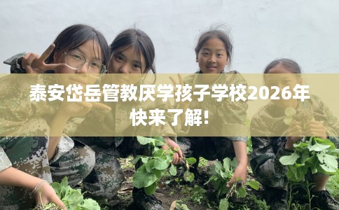 泰安岱岳管教厌学孩子学校2026年快来了解!