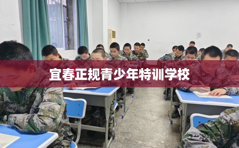 宜春正规青少年特训学校