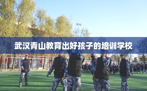武汉青山教育出好孩子的培训学校