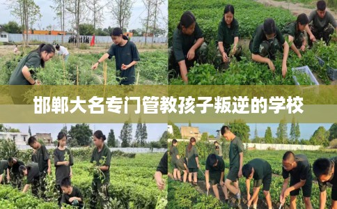 邯郸大名专门管教孩子叛逆的学校