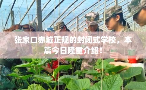 张家口赤城正规的封闭式学校，本篇今日隆重介绍！