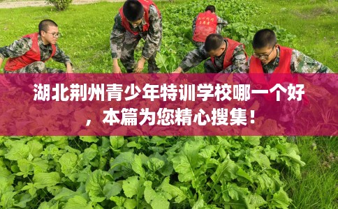 湖北荆州青少年特训学校哪一个好，本篇为您精心搜集！
