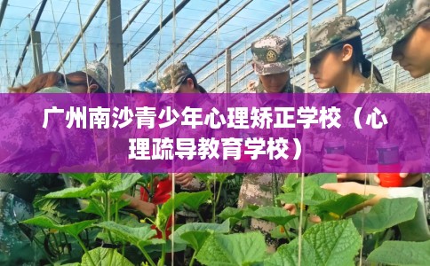 广州南沙青少年心理矫正学校（心理疏导教育学校）