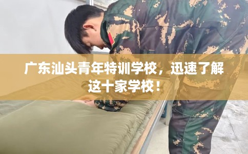 广东汕头青年特训学校，迅速了解这十家学校！