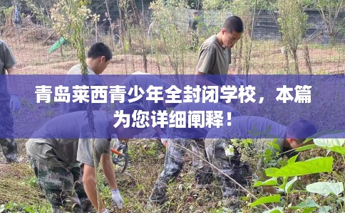 青岛莱西青少年全封闭学校，本篇为您详细阐释！