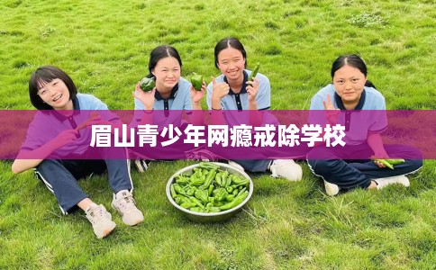 眉山青少年网瘾戒除学校