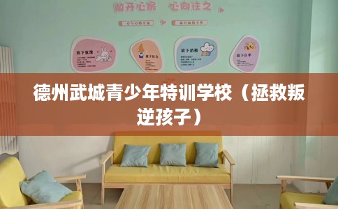 德州武城青少年特训学校（拯救叛逆孩子）