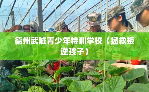 德州武城青少年特训学校（拯救叛逆孩子）