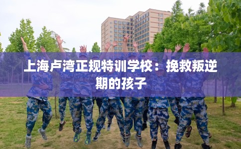上海卢湾正规特训学校：挽救叛逆期的孩子