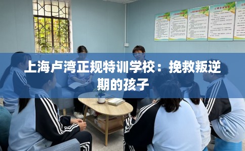 上海卢湾正规特训学校：挽救叛逆期的孩子