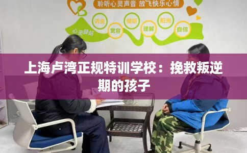 上海卢湾正规特训学校：挽救叛逆期的孩子