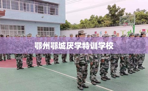 鄂州鄂城厌学特训学校