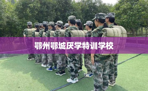 鄂州鄂城厌学特训学校