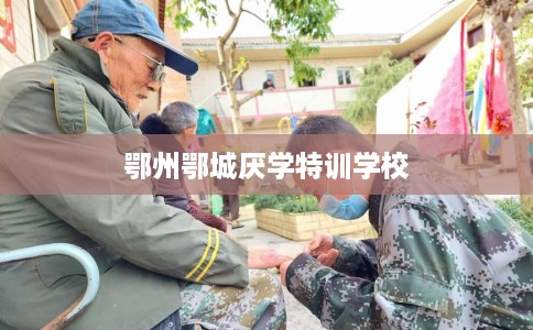 鄂州鄂城厌学特训学校