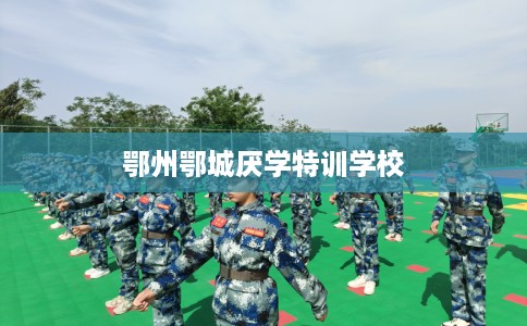 鄂州鄂城厌学特训学校