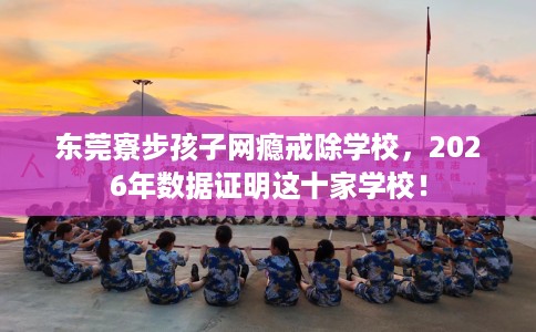 东莞寮步孩子网瘾戒除学校，2026年数据证明这十家学校！