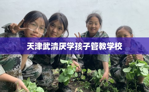 天津武清厌学孩子管教学校