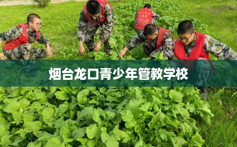 烟台龙口青少年管教学校