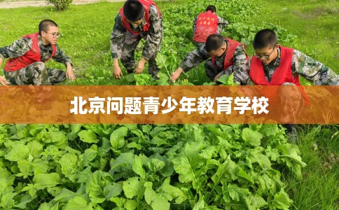 北京问题青少年教育学校
