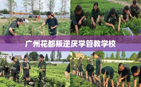 广州花都叛逆厌学管教学校
