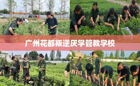 广州花都叛逆厌学管教学校