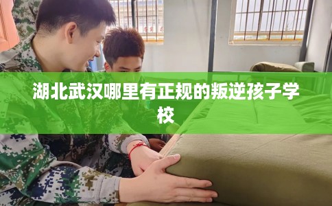 湖北武汉哪里有正规的叛逆孩子学校