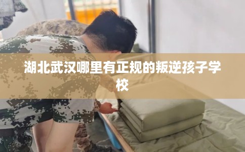湖北武汉哪里有正规的叛逆孩子学校