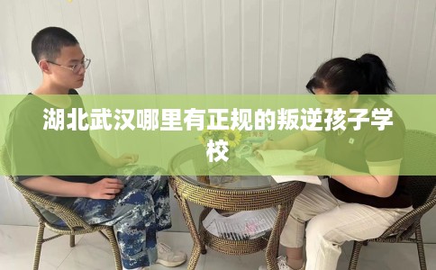 湖北武汉哪里有正规的叛逆孩子学校