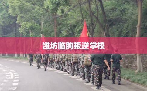 潍坊临朐叛逆学校