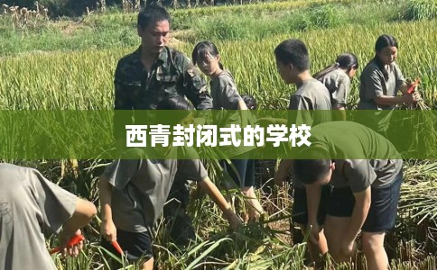 西青封闭式的学校