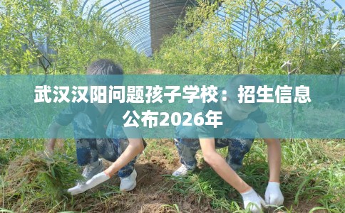 武汉汉阳问题孩子学校：招生信息公布2026年