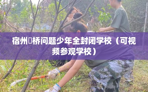 宿州埇桥问题少年全封闭学校（可视频参观学校）