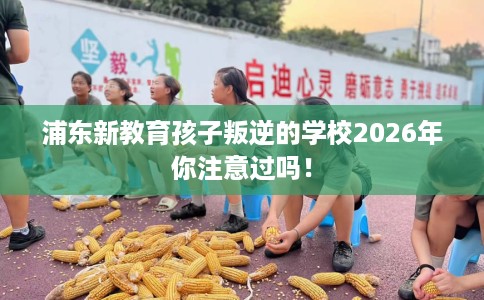浦东新教育孩子叛逆的学校2026年你注意过吗！