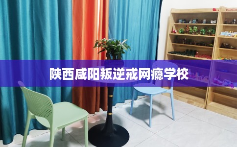 陕西咸阳叛逆戒网瘾学校