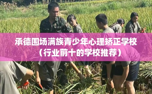 承德围场满族青少年心理矫正学校（行业前十的学校推荐）