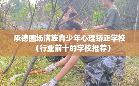 承德围场满族青少年心理矫正学校（行业前十的学校推荐）