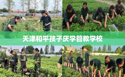 天津和平孩子厌学管教学校