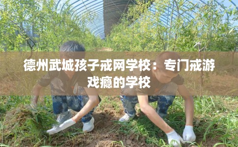 德州武城孩子戒网学校：专门戒游戏瘾的学校